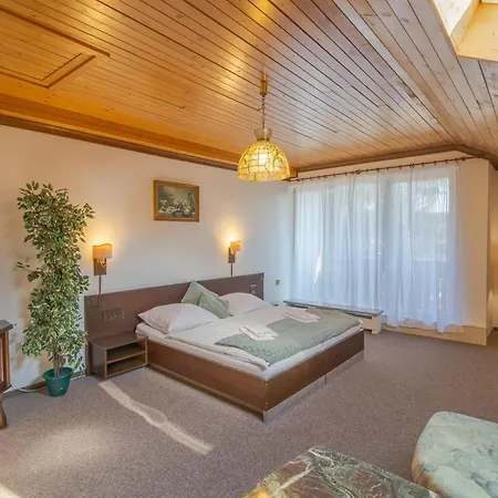 Hotel Pavla Vysocina 3*