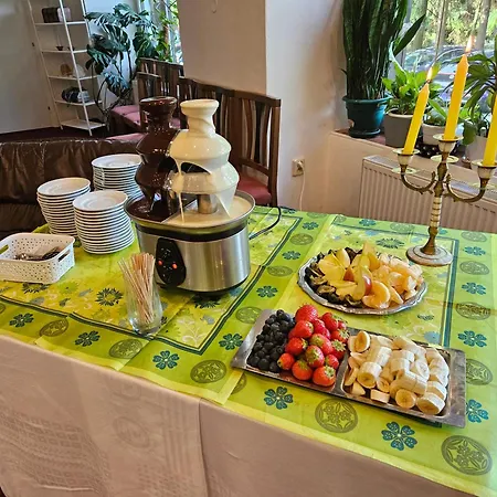 Pavla Vysocina Hotel Nove Mesto na Morave