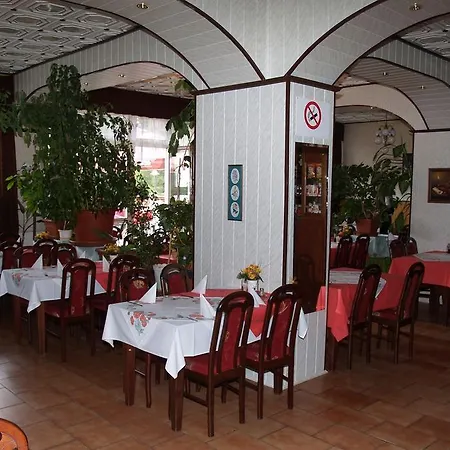 Pavla Vysočina