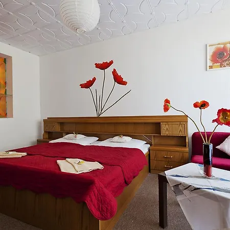 Pavla Vysočina 3* Nove Mesto na Morave