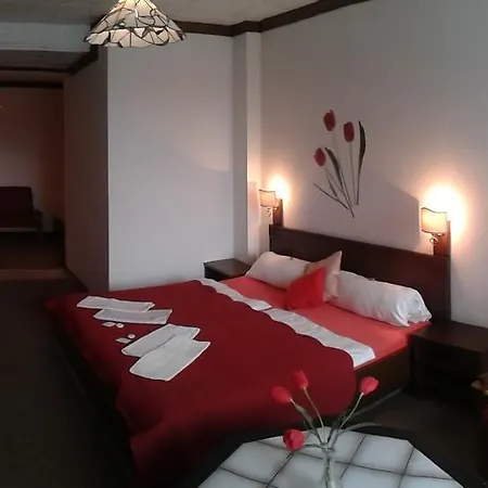 Pavla Vysočina 3*