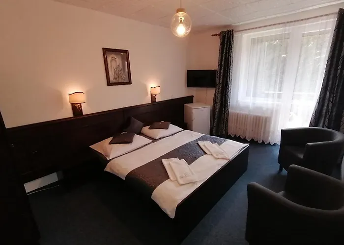 Hotel Pavla Vysocina Nove Mesto na Morave