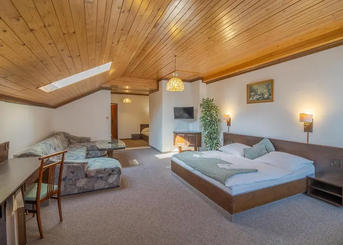 Pavla Vysocina Hotel Nove Mesto na Morave