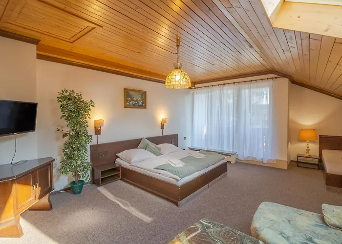 Hotel Pavla Vysocina 3*