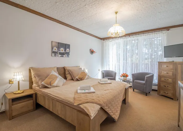 Hotel Pavla Vysocina Nove Mesto na Morave
