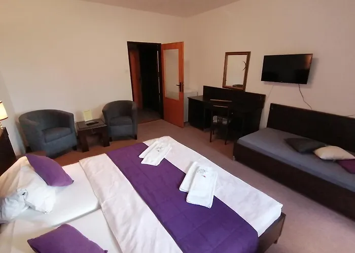 Pavla Vysocina Nove Mesto na Morave