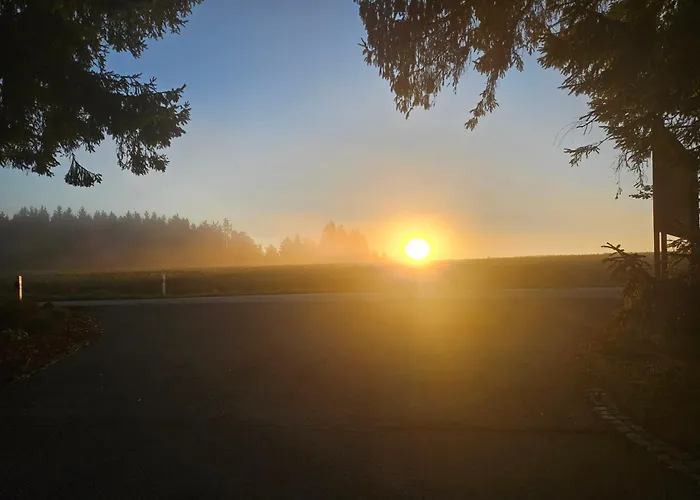 Pavla Vysocina Nove Mesto na Morave