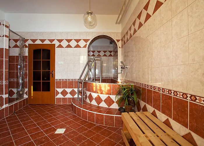 Pavla Vysocina Hotel