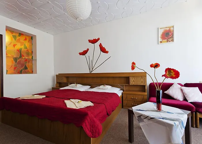 Pavla Vysocina 3* Nove Mesto na Morave