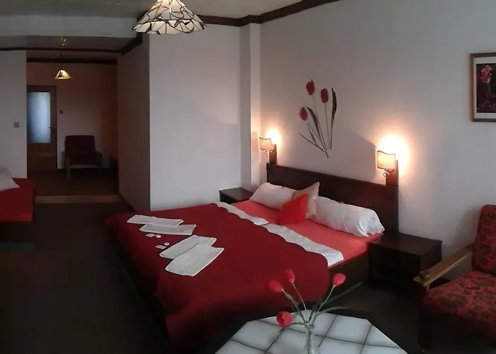 Pavla Vysocina 3*